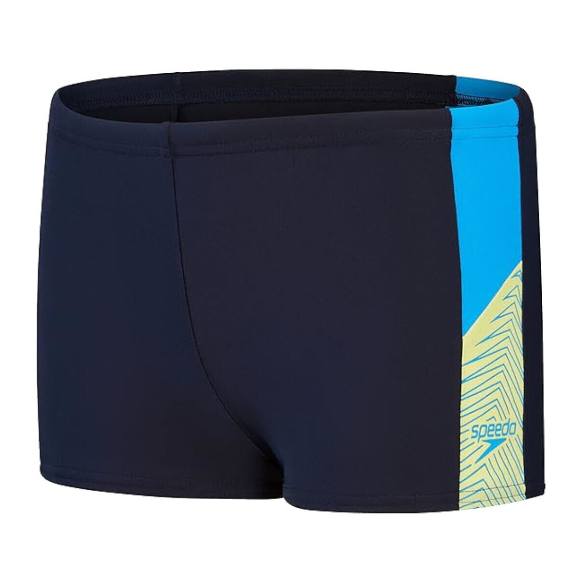 Kleidung Jungen Badeanzug /Badeshorts Speedo 0031571 Blau