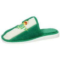 Schuhe Herren Hausschuhe Andinas  Grün