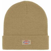 Accessoires Mütze Dickies  Grün