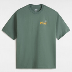 Kleidung Herren T-Shirts & Poloshirts Vans Posted ss Grün
