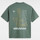 Kleidung Herren T-Shirts & Poloshirts Vans Posted ss Grün