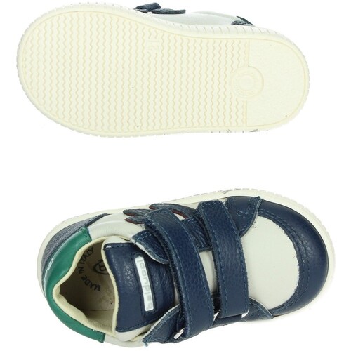 Balducci CSP5811 Grau