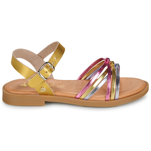 Citrouille et Compagnie DAISY Gold