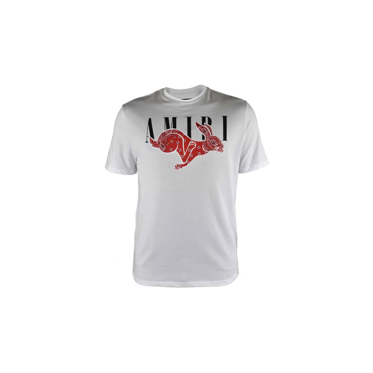 Kleidung Herren T-Shirts & Poloshirts Amiri  Weiss