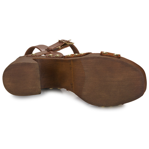 Fericelli ADONIS Camel