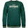 Kleidung Herren Sweatshirts Elevenate Sweatshirt col rond  Authentic Grün