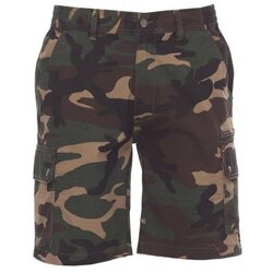Kleidung Herren Shorts / Bermudas Payper Wear Bermuda Payper Rimini Summer Grün