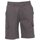 Kleidung Herren Shorts / Bermudas Payper Wear Bermuda Payper Rimini Summer Grau