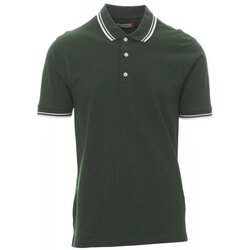 Kleidung Herren Polohemden Payper Wear Polo Payper Skipper Grün