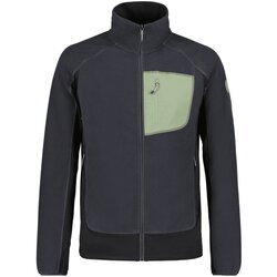 Kleidung Herren Pullover Icepeak Sport  MESA 557663656I/290 290 Grau