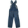 Kleidung Kinder Overalls / Latzhosen Gap 623001-000 Blau