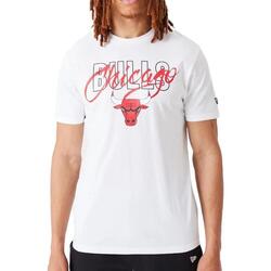 Kleidung Herren T-Shirts & Poloshirts New-Era 60332184 Weiss