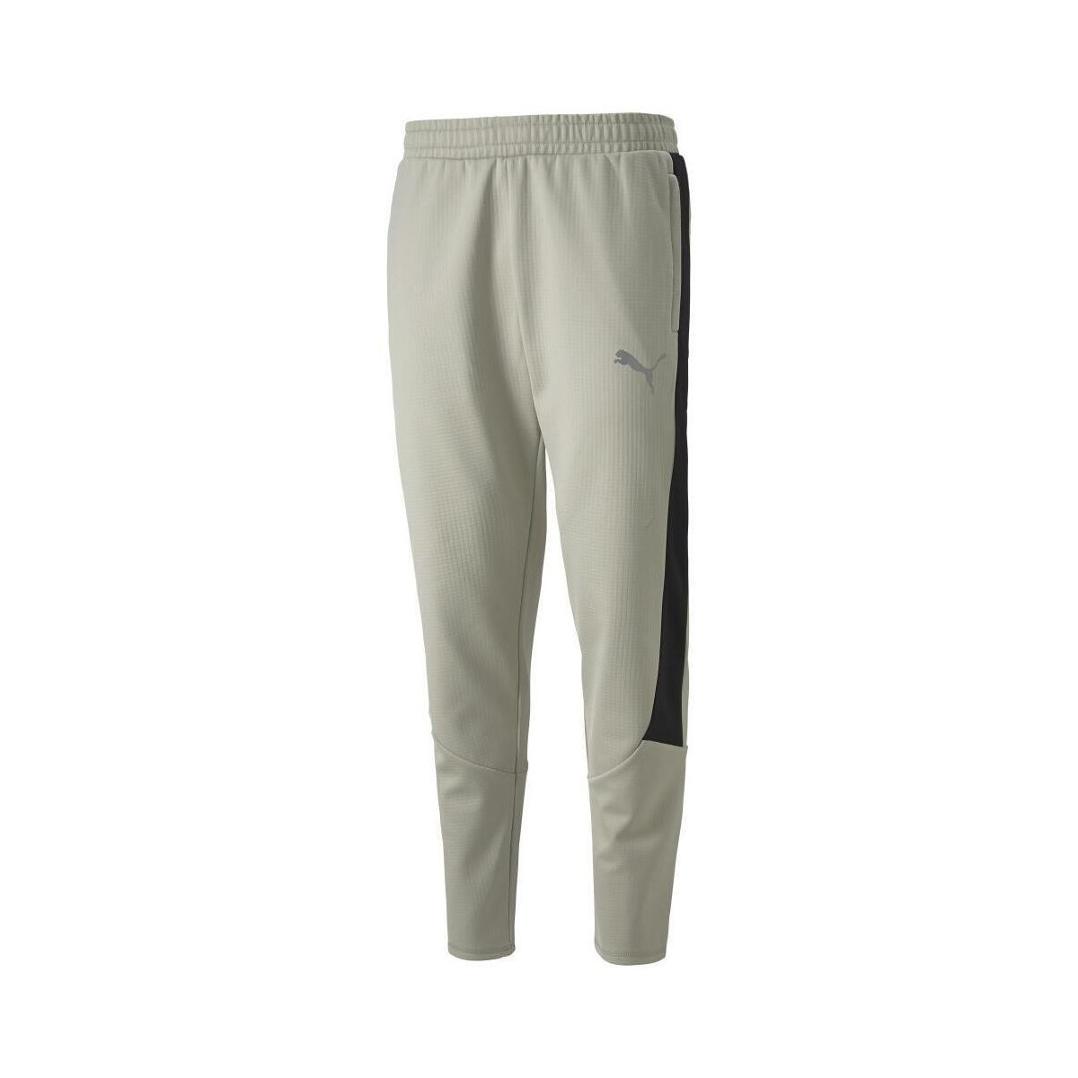Kleidung Herren Jogginghosen Puma 849921-68 Grau