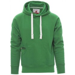 Kleidung Herren Sweatshirts Payper Wear Sweatshirt à capuche Payper Atlanta+ Grün