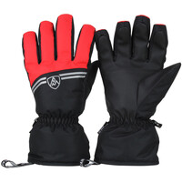 Accessoires Damen Handschuhe Peak Mountain Gants de ski MAMILLA Schwarz