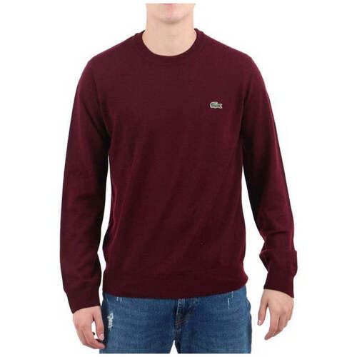 Kleidung Kinder Sweatshirts Lacoste Maglione Other