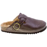 Schuhe Damen Sandalen / Sandaletten Scholl 92420 Braun
