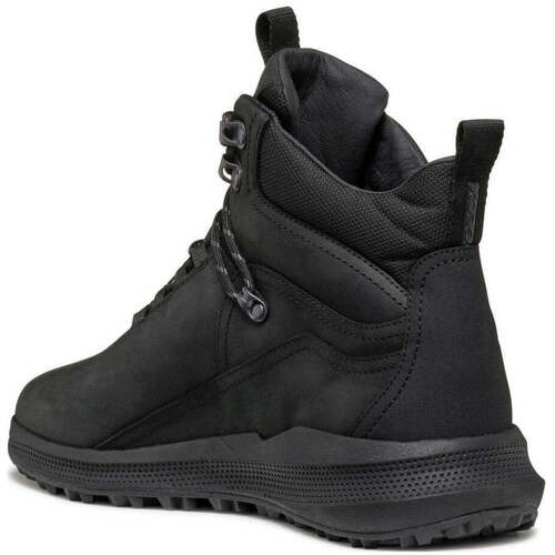 Geox  Schwarz