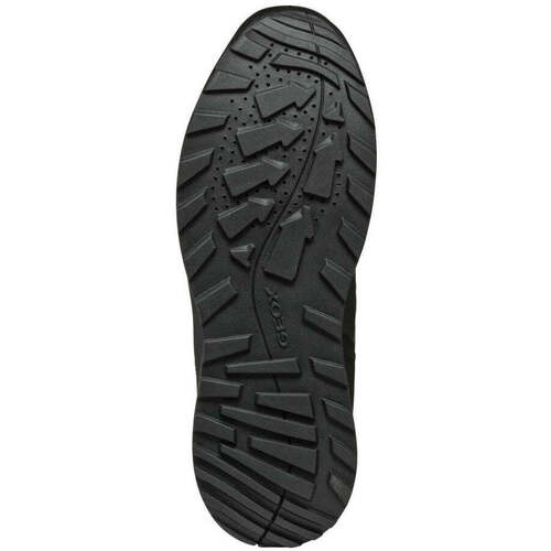 Geox  Schwarz