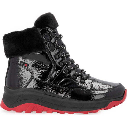 R-Evolution  Schwarz