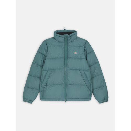 Kleidung Herren Jacken Dickies WALDENBURG - DK0A4XP2-0LN1 LINCOLN GREEN Grün