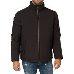 Kleidung Herren Jacken Geox M8428M T2504 Grau