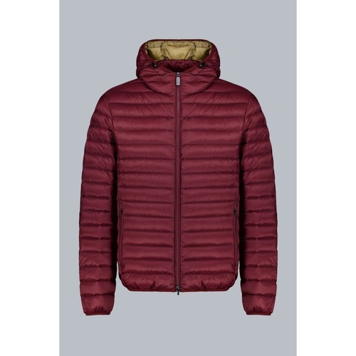 Kleidung Herren Jacken Ciesse Piumini 233CFMJ00062 Bordeaux
