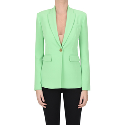 Kleidung Damen Jacken Pinko CSG00005005AE Grün