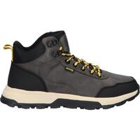 Schuhe Herren Multisportschuhe MTNG 84690 84690