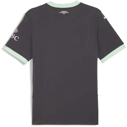 Puma  Grau