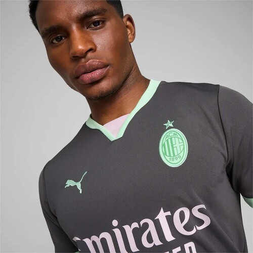Puma  Grau