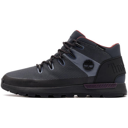 Schuhe Herren Sneaker High Timberland  Blau