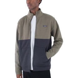 Kleidung Herren Sweatshirts Hurley ALPS BLOCK CREW Grün