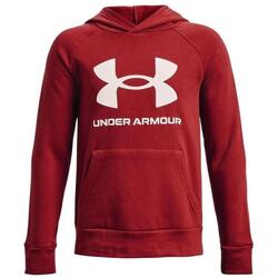 Kleidung Jungen Sweatshirts Under Armour 1357585-610 Rot