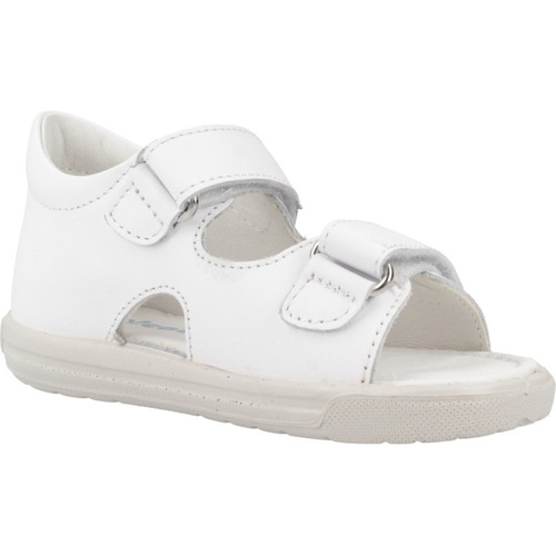 Falcotto NASSHO Weiss