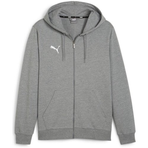 Kleidung Herren Pullover Puma Sport teamGOAL Casuals Hooded Ja 658595/033 Grau