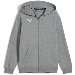 Kleidung Jungen Sweatshirts Puma Sport teamGOAL Casuals Hooded Ja 658596 Grau