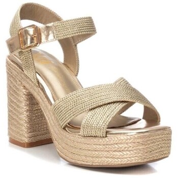 Xti 142741 Gold