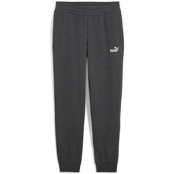 Kleidung Damen Jogginghosen Puma Jogging femme  CL Grau