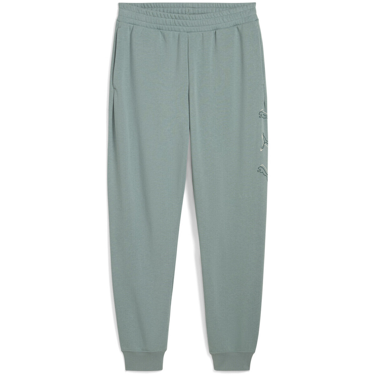 Kleidung Herren Jogginghosen Puma Jogging  Lab Execution Grün