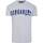 Kleidung Herren T-Shirts Dsquared S74GD0988 Grau