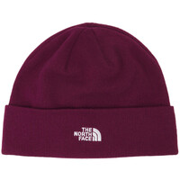 Accessoires Hüte The North Face NF0A5FVZ Rot