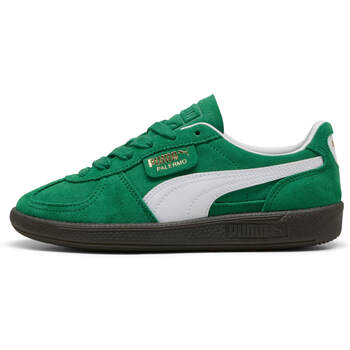 Schuhe Kinder Sneaker Puma Baskets enfant  Palermo Grün