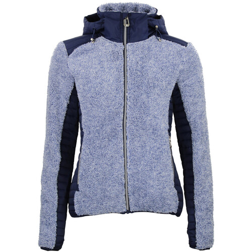 Kleidung Damen Fleecepullover Peak Mountain Blouson polaire femme AMARANT Marine