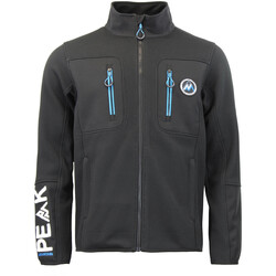 Kleidung Herren Fleecepullover Peak Mountain Blouson polaire homme CANDY Schwarz