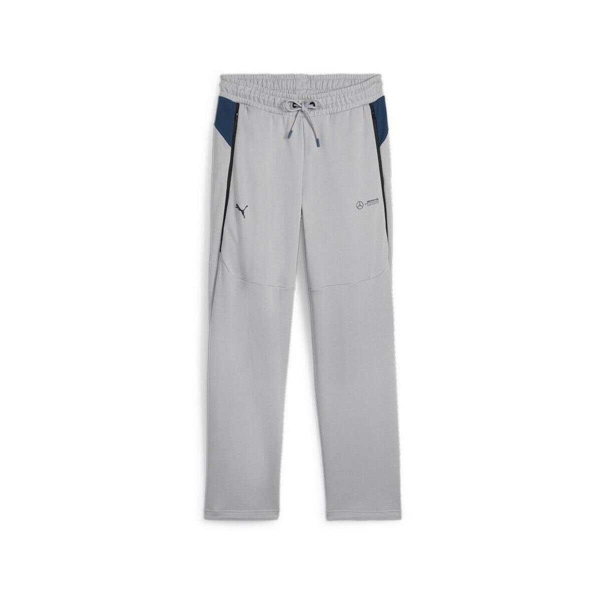 Kleidung Herren Jogginghosen Puma 623723-02 Grau