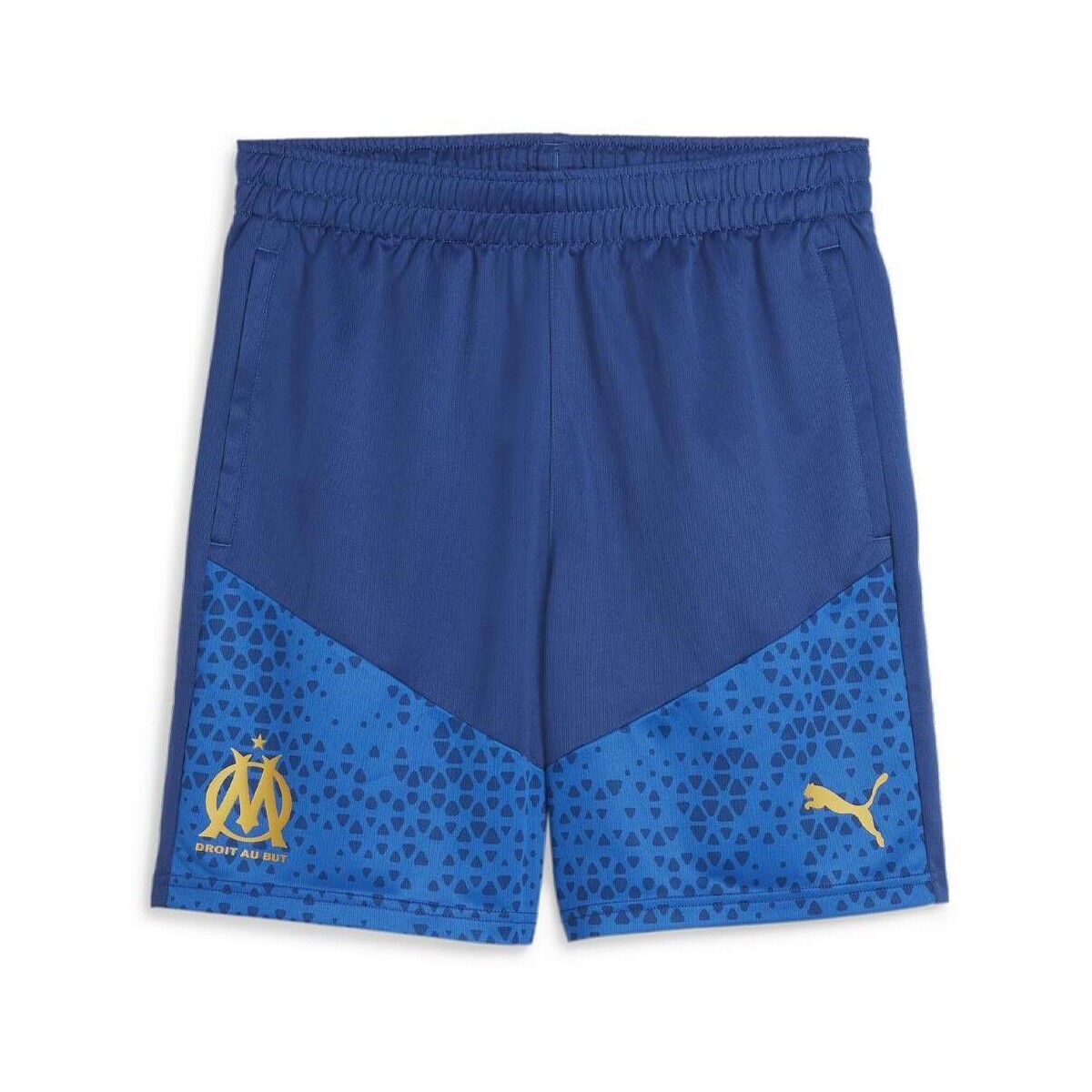 Kleidung Herren Shorts / Bermudas Puma 771930-20 Blau