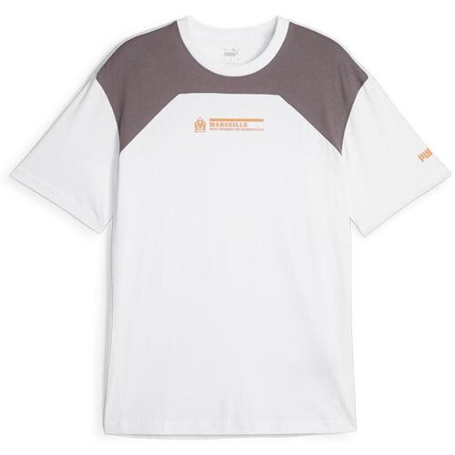 Kleidung Herren Tops Puma 771967-11 Grau