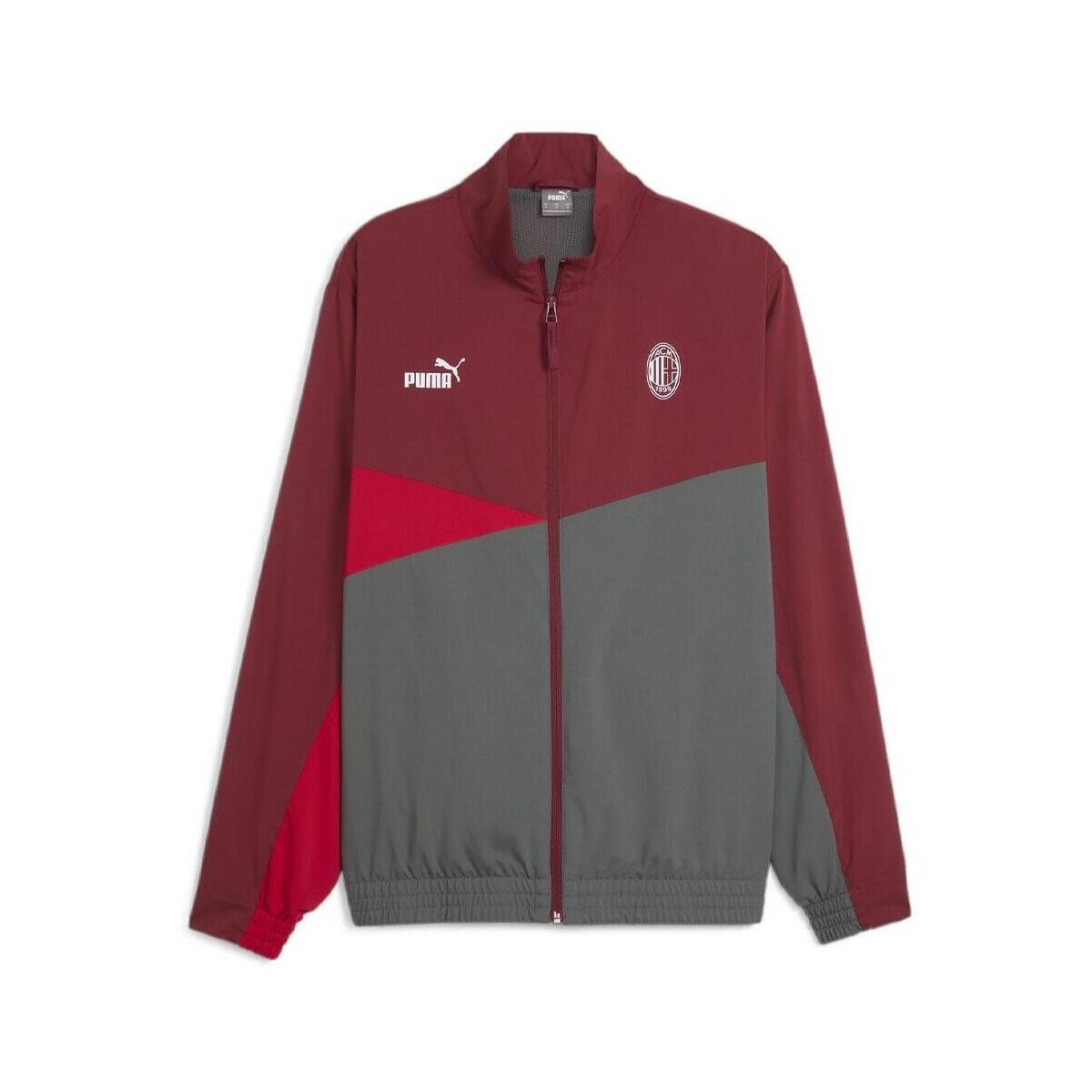 Kleidung Herren Windjacken Puma 777100-01 Grau