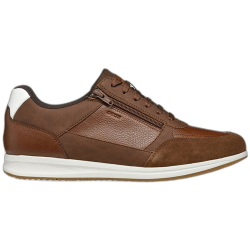 Schuhe Herren Sneaker Geox Baskets  U Avery A Braun